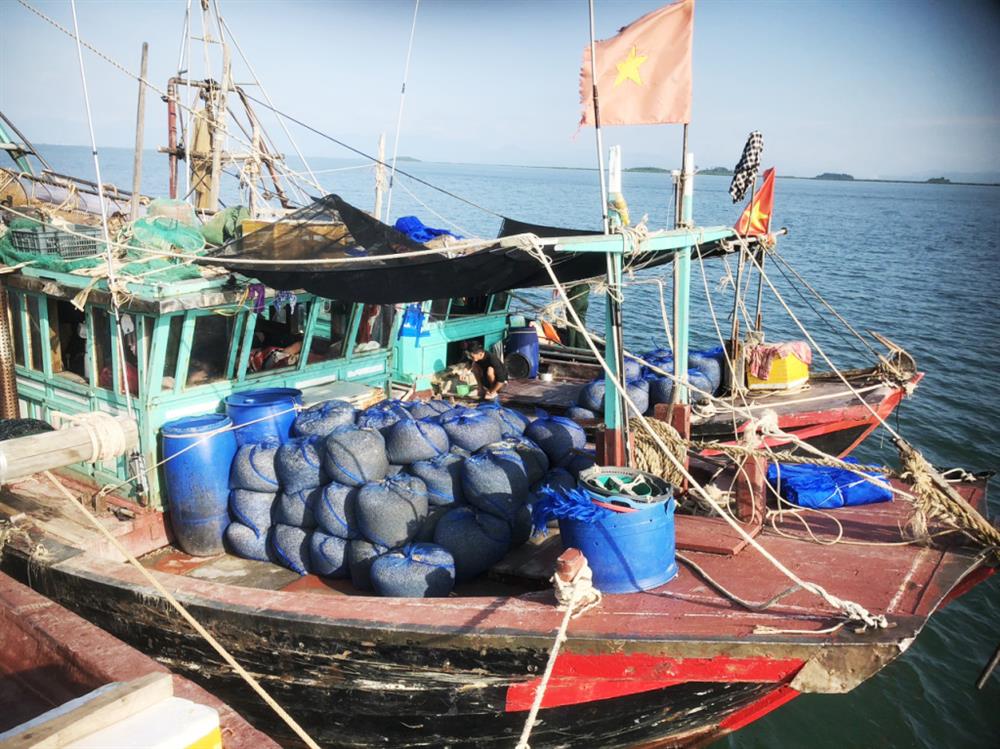 Quảng Ninh: Bắt giữ tàu khai thác thủy sản trái phép